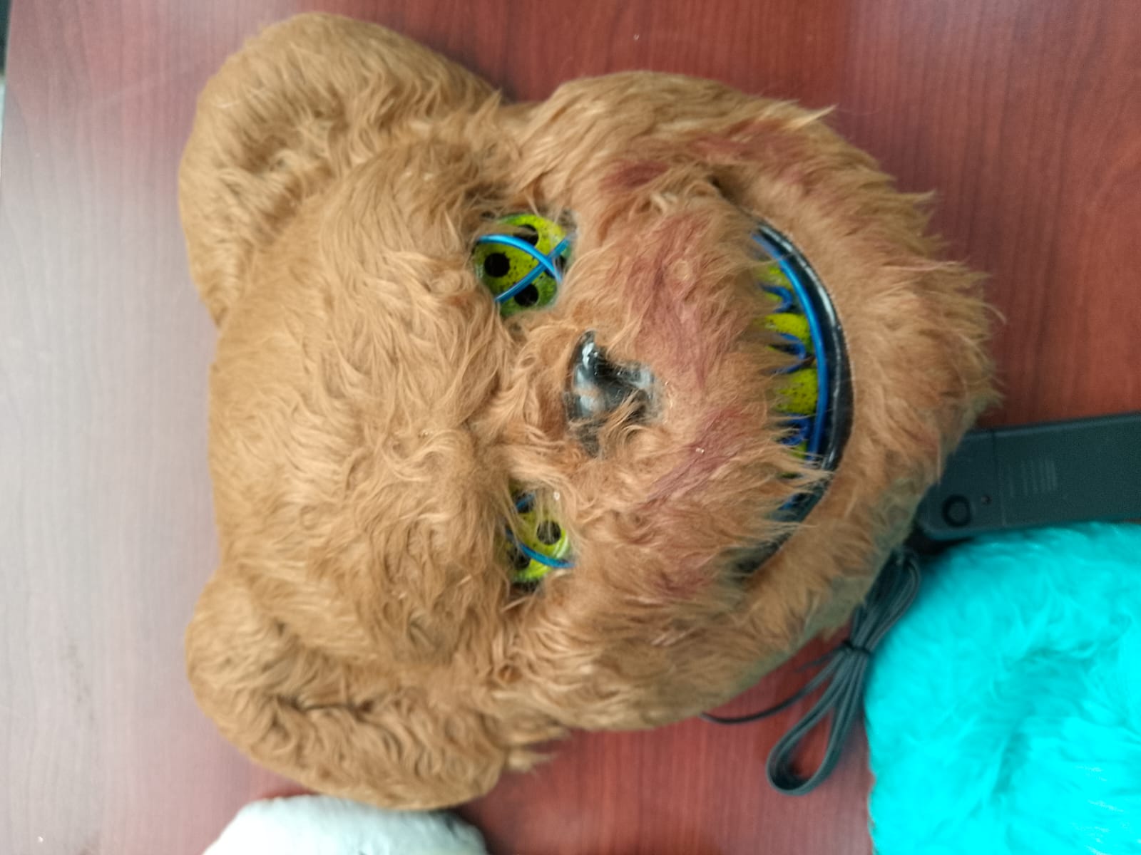 Miniatura 2 de Mascara de Oso Peludo